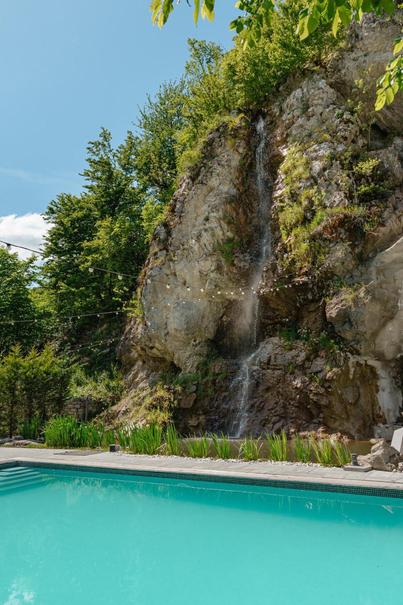 Pensiunea Apuseni Wild Remeţi Exterior foto