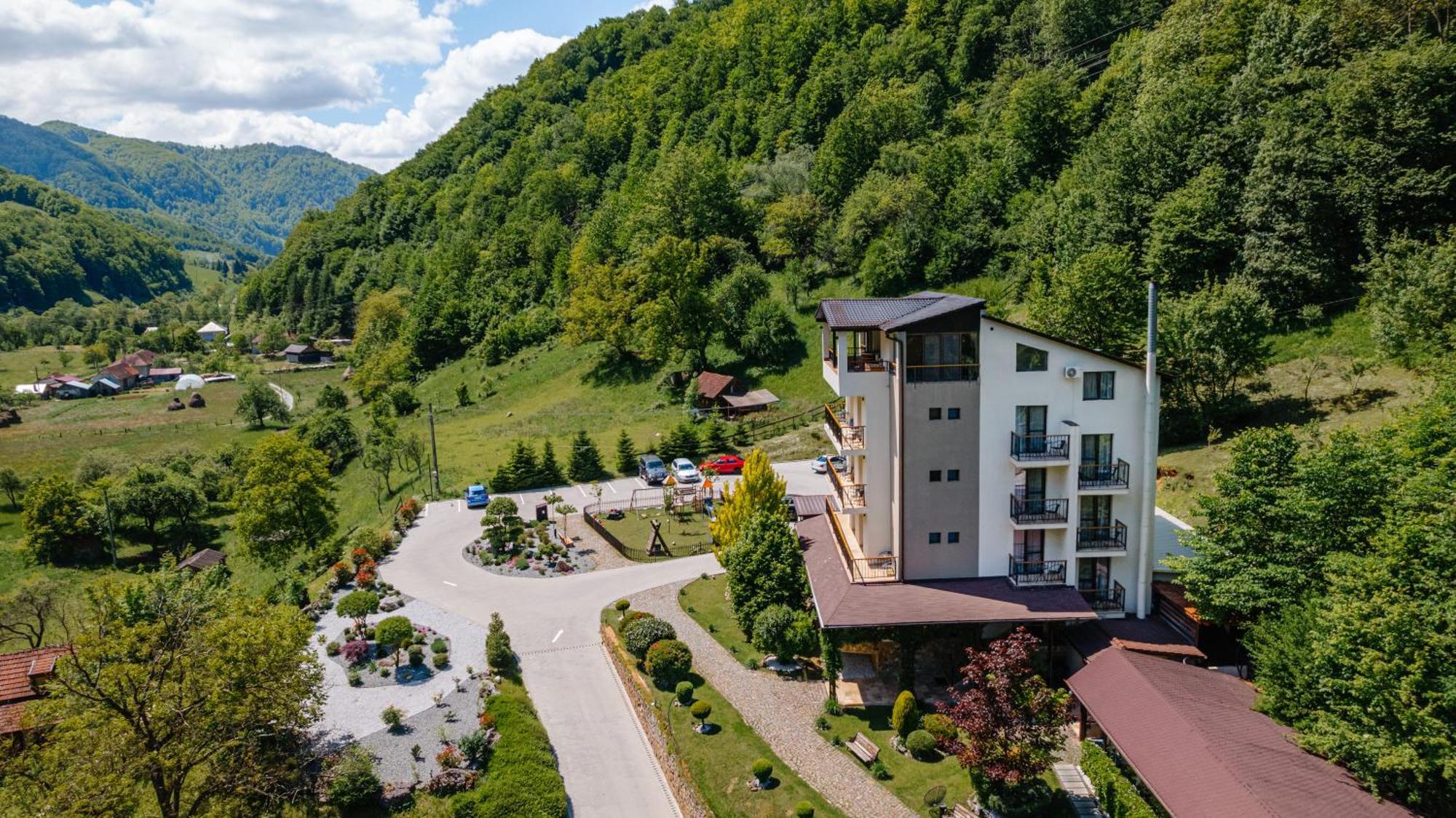 Pensiunea Apuseni Wild Remeţi Exterior foto